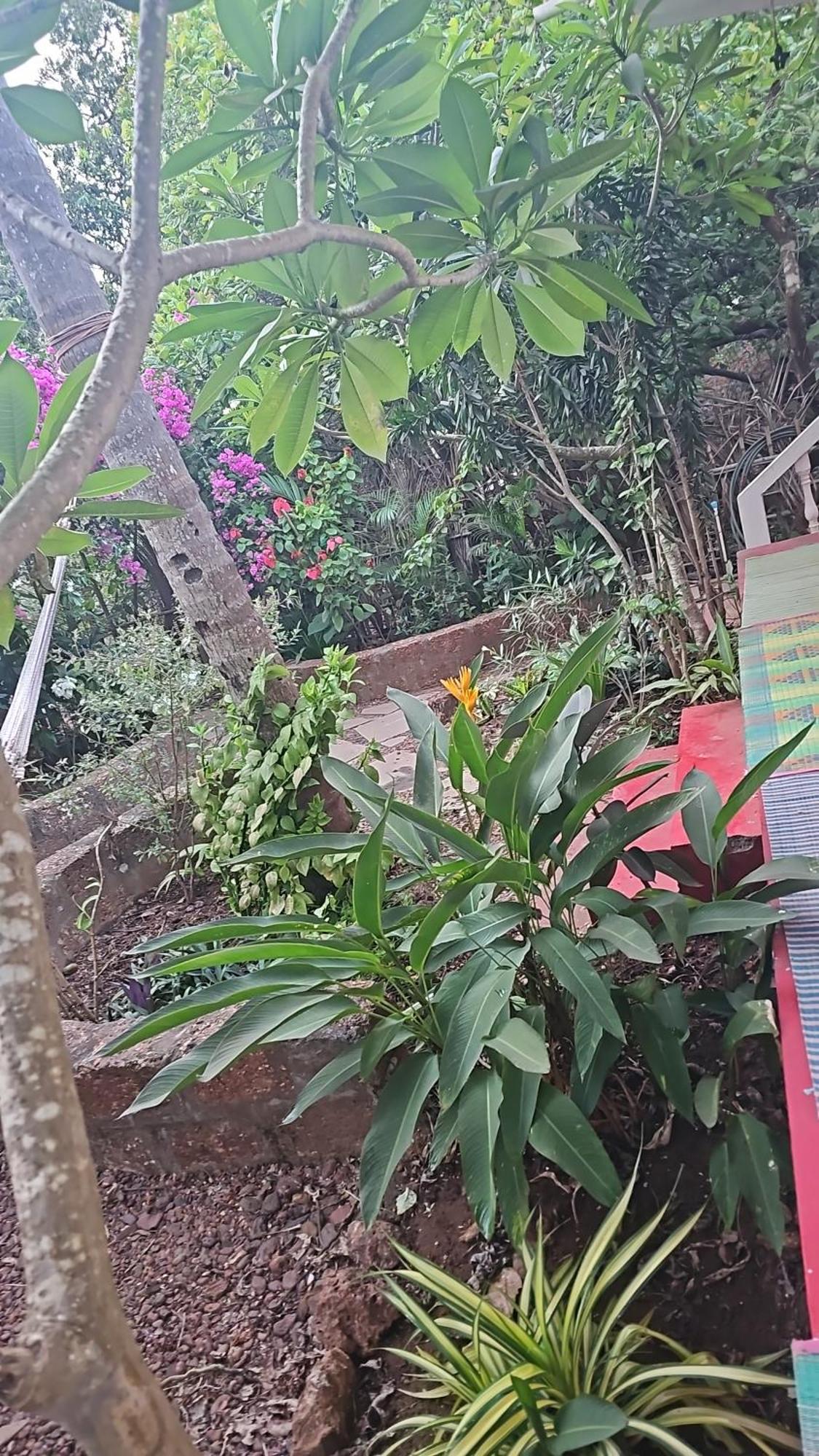 Laxmi Happy Home In Querim Goa Екстериор снимка