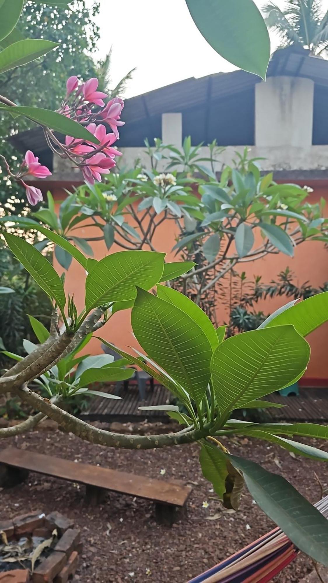 Laxmi Happy Home In Querim Goa Екстериор снимка